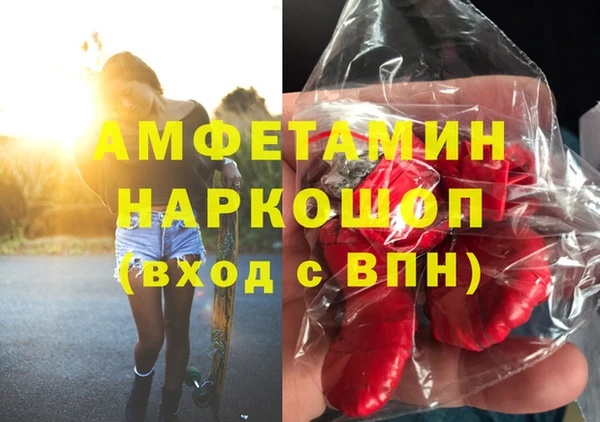 МДПВ Алексин