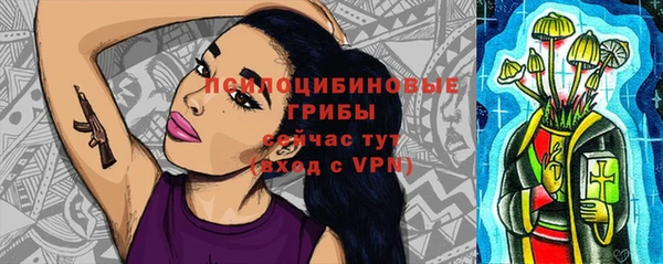 прущие крисы Алексеевка