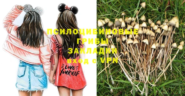 прущие крисы Алексеевка