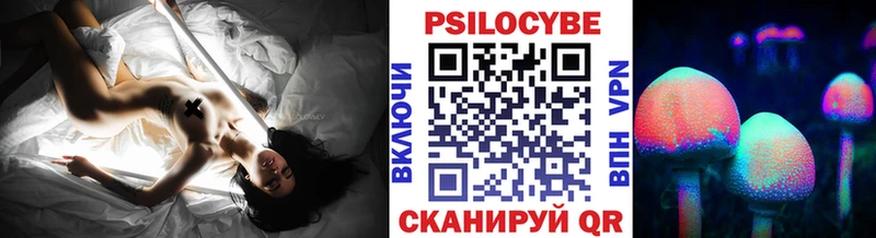 Псилоцибиновые грибы Psilocybine cubensis  Лысково 